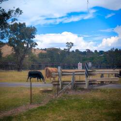 The View from the Campground