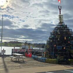 Und wieder Hummerkäfige