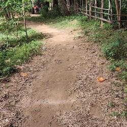 Der Radweg