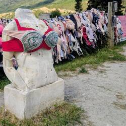 BH-Zaun von Cardona (1)