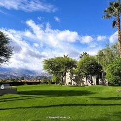 Der Rasen nach so einem intensiven Regen sieht unglaublich dicht und saftig grün aus