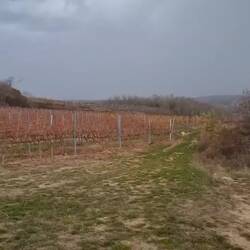 Ein paar Minuten später...