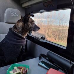 Nara findet für heute muss man nicht mehr da raus.