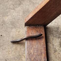 Auf der Suche nach 1000 Gummistiefeln