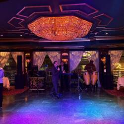 Und die Band! Gnadenlos in ihrer Performance. Oldies an Goldies.