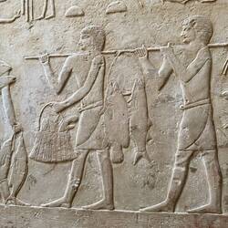 Die Wandreliefs zeigen super genau Mensch und Tier am Nil. Wie gesagt: 2.300 Jahre alt.