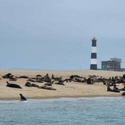 ...noch mal einen Blick auf unsere vorangegangene Pelican Point Lodge werfen...