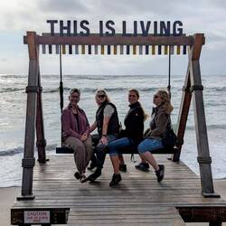 Abends sind die zebra-Stuten wieder vereint 🦓