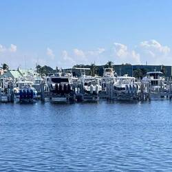 One last one for Graeme. Seen on the St Lucie River.
