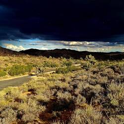 Speziell Stimmungsbilder