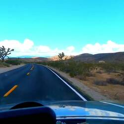 Einfahrt Joshua Tree NP