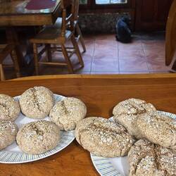 Der Vollkornbrötchen-Entzug wurde so ernst, dass ich selbst welche backen musste