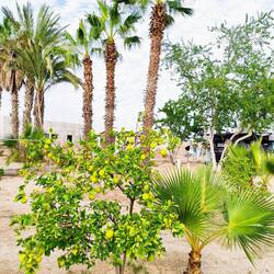 Campestre Maranatha, La Paz