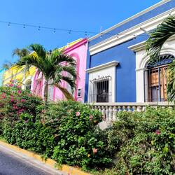 Farbenprächtig und blütenreich