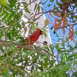 ... mit entsprechenden Gästen