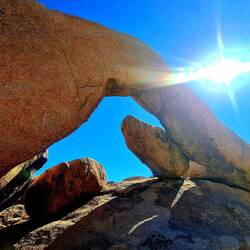 Arches im Joshua Tree NP; jöö