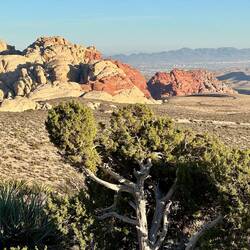 Red Rock Canyon