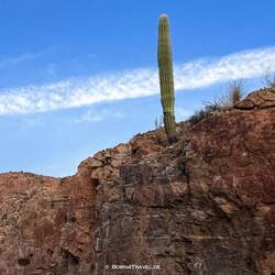 Einer muss die Stellung halten 🤣