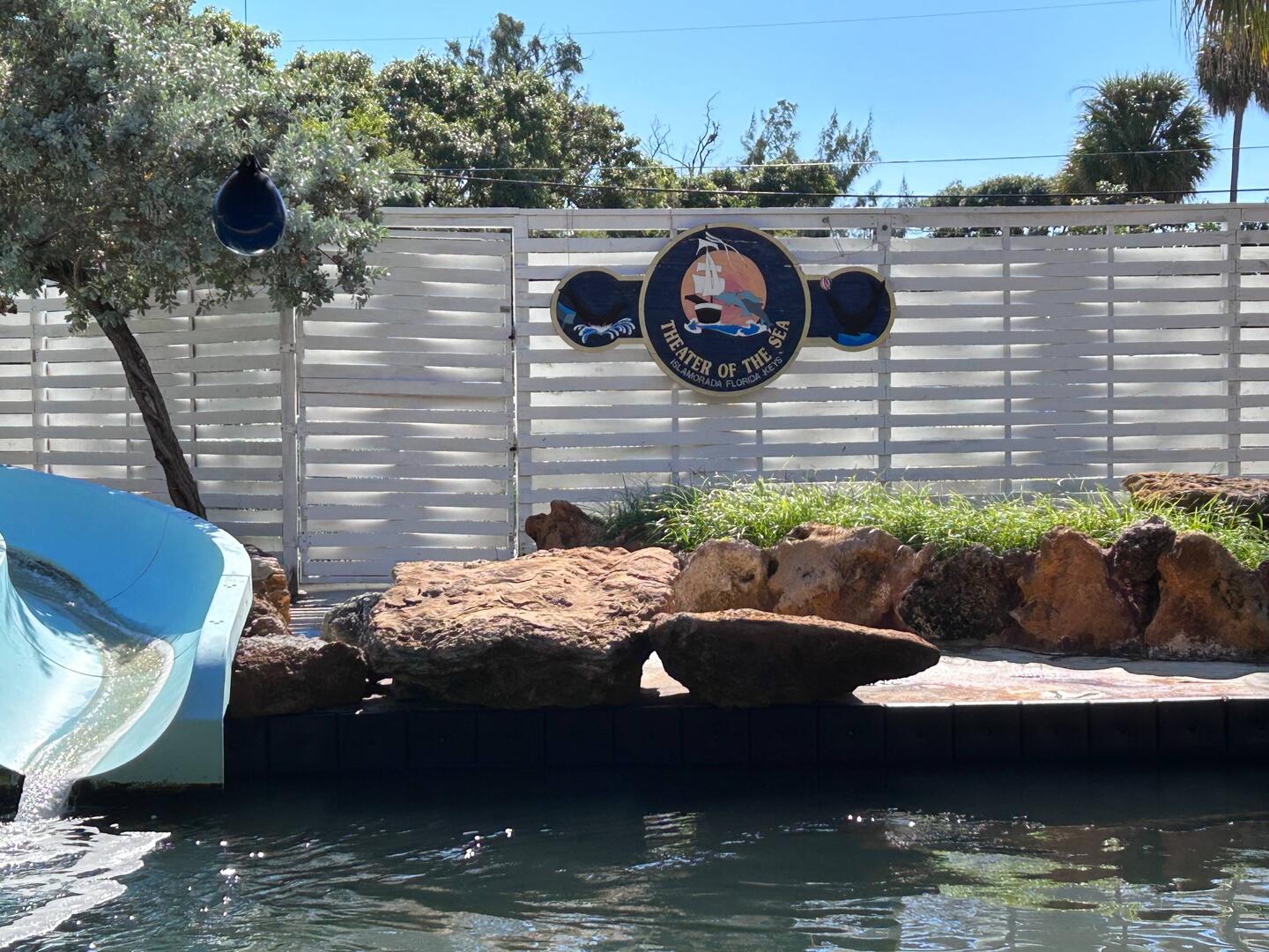 The sealion display tank
