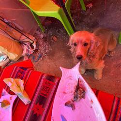 Nicht nur wir haben Hunger