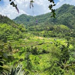 This was one of the best views of the day - which we enjoyed whilst eating pisang goreng