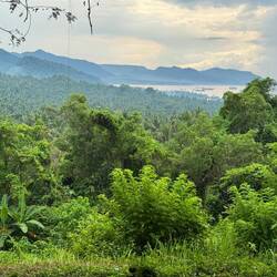 As we climb we gain beautiful views back along Bali's southeast coast