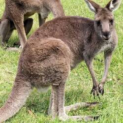We konden heel dicht bij de groep komen