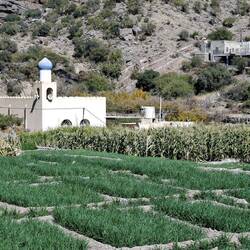 Trockenreis? Anderes Getreide? 🤔