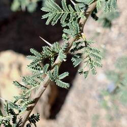 Achtung! Macht aua! 🥴