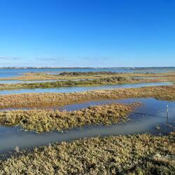 The natural maze of Sancti Pétri