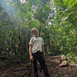 Irgendwo da oben ist bestimmt ein Affe