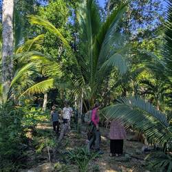 So sieht es im Jungle-Camp aus