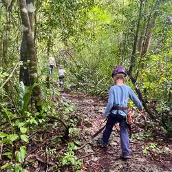 Auf der Suche nach Affen in Punta Laguna