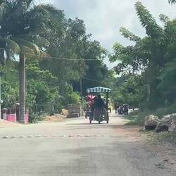 Auf dem Weg von El Cuyo nach Tulum