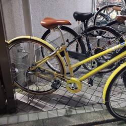 Das gelbe war mein Leihfahrrad hier