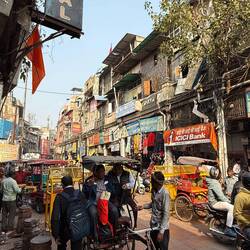 Auf den ersten Blick ein buntes Chaos. Aber im Chaos gibt's Rücksichtnahme, Verständnis und Ruhe.