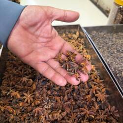 Sternanis! Eine von hunderten Gewürzen.