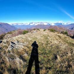 Panorama mit Monta Tamaro (links) und bündner und italienische Gipfel.