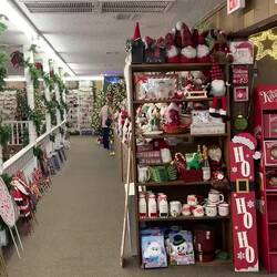 Auf der Suche nach einem kleinen Tannenbaum für den Trailer