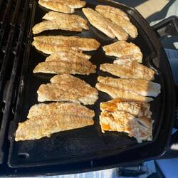 Sascha's Erfolg - vom Atlantik Ozean auf den Teller in weniger als 24 Std. Superlecker🙃