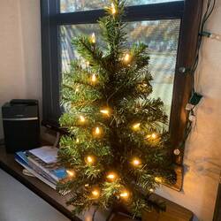 Guido hat ihn liebe voll getupft und gestreichelt 🥰🥰