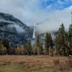 Yosemite Falls fast sogar im Sonnenschein.