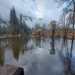 Yosemite Falls schälen sich aus dem Nebel.