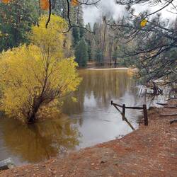 Hier sieht man wie überschwemmt es ist, der Baum und der Zaun stehen normalerweise nicht im Wasser.