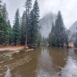 Das ist übrigens der Merced Fluß. Auch ganz schön voll.
