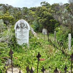Heeel oud, gedeeltelijk overwoekerd kerkhof, lighthouse cemetery
