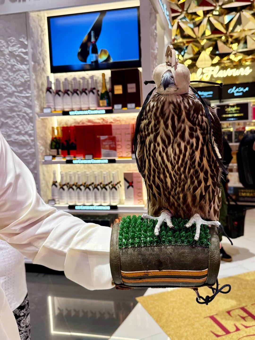 Meanwhile at Abu Dhabi-Duty Free Shop