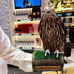 Meanwhile at Abu Dhabi-Duty Free Shop