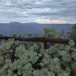 Die äolischen Inseln stets im Blickfeld