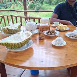 Durian Fruit